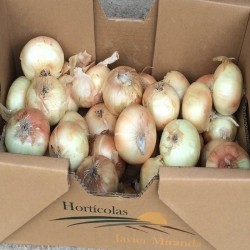 Cebolla Dulce Terras de Miranda