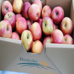 Manzanas Jonagored Terras de Miranda