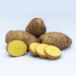 Batata Liseta 10kg