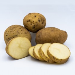 Batata Kennebec 10 kg