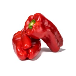 Pimiento Morrón Rojo