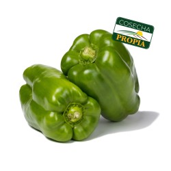 Pimiento Morrón Verde