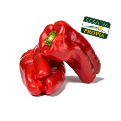 Pimiento Morrón Rojo